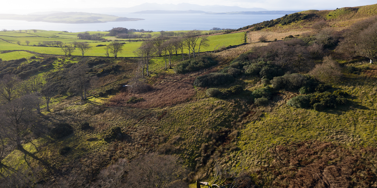 The Future Forest Company Response to The Forest Pathways 2023 Report from WWF & the Forest Declaration Assessment