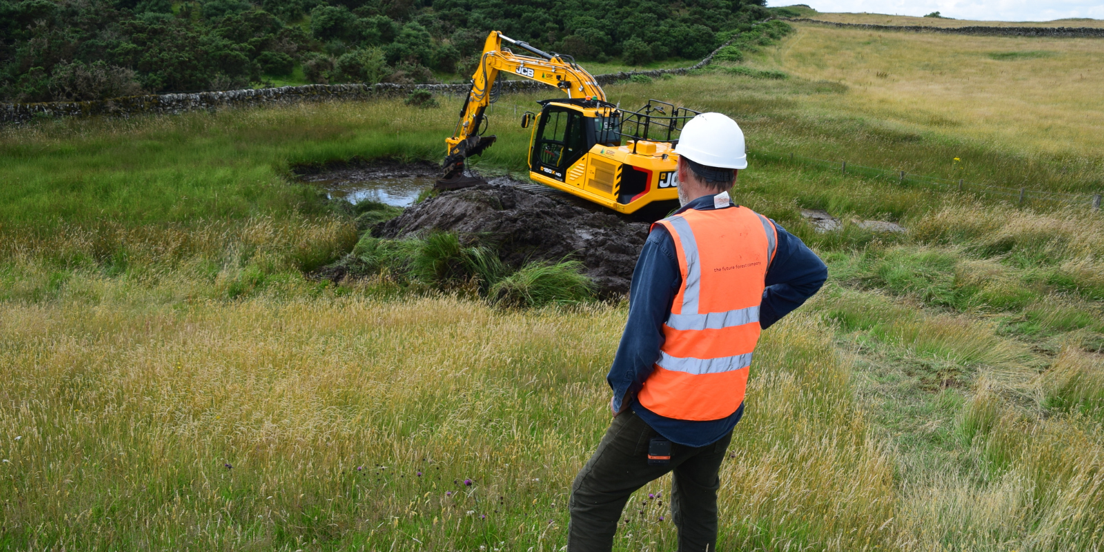 Wetland Restoration in Action: A World Wetlands Day Reflection