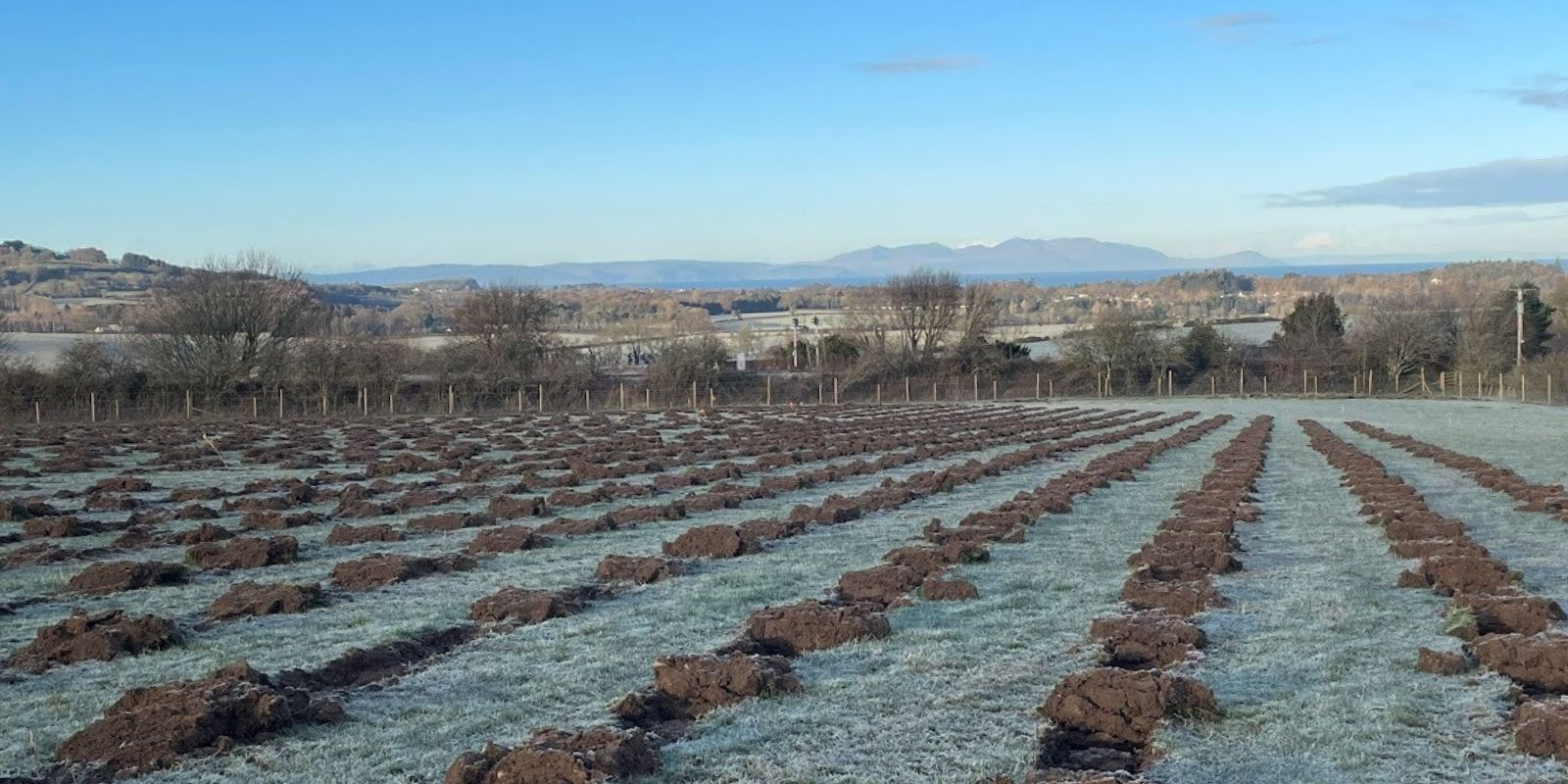 The Art Of Ground Preparation