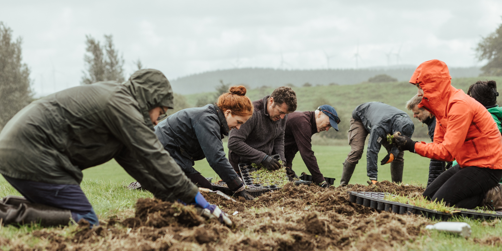 The Future Forest Company Team's Hands-on Experience at Leadloch