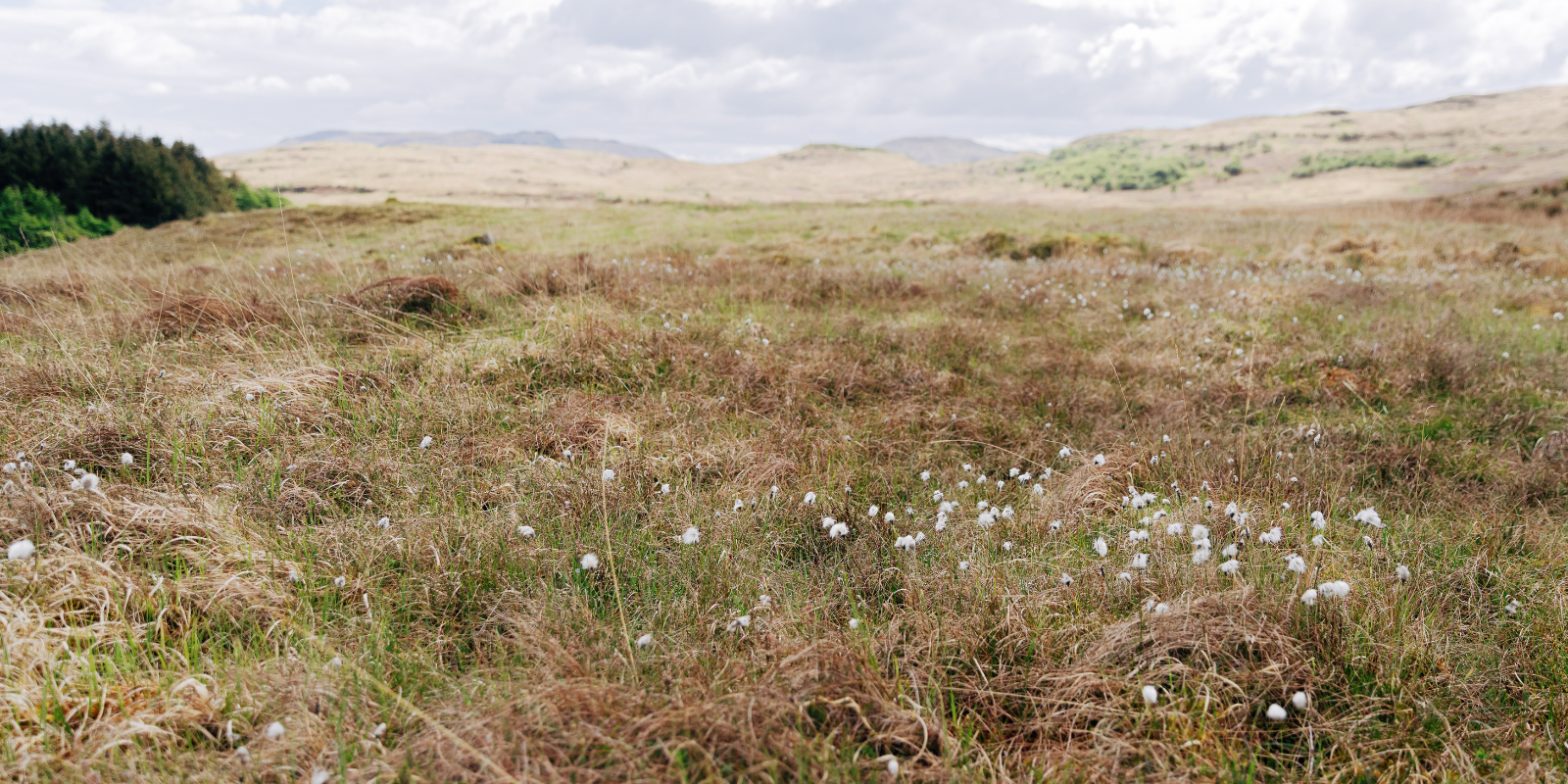 The Benefits of Peatland Restoration for Landowners