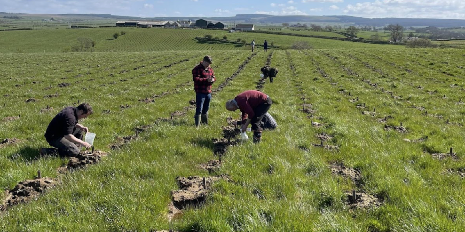 Going Underground: How Fungi Could Enhance Our Forests by Corin Jack, Our Woodland Carbon Administrator