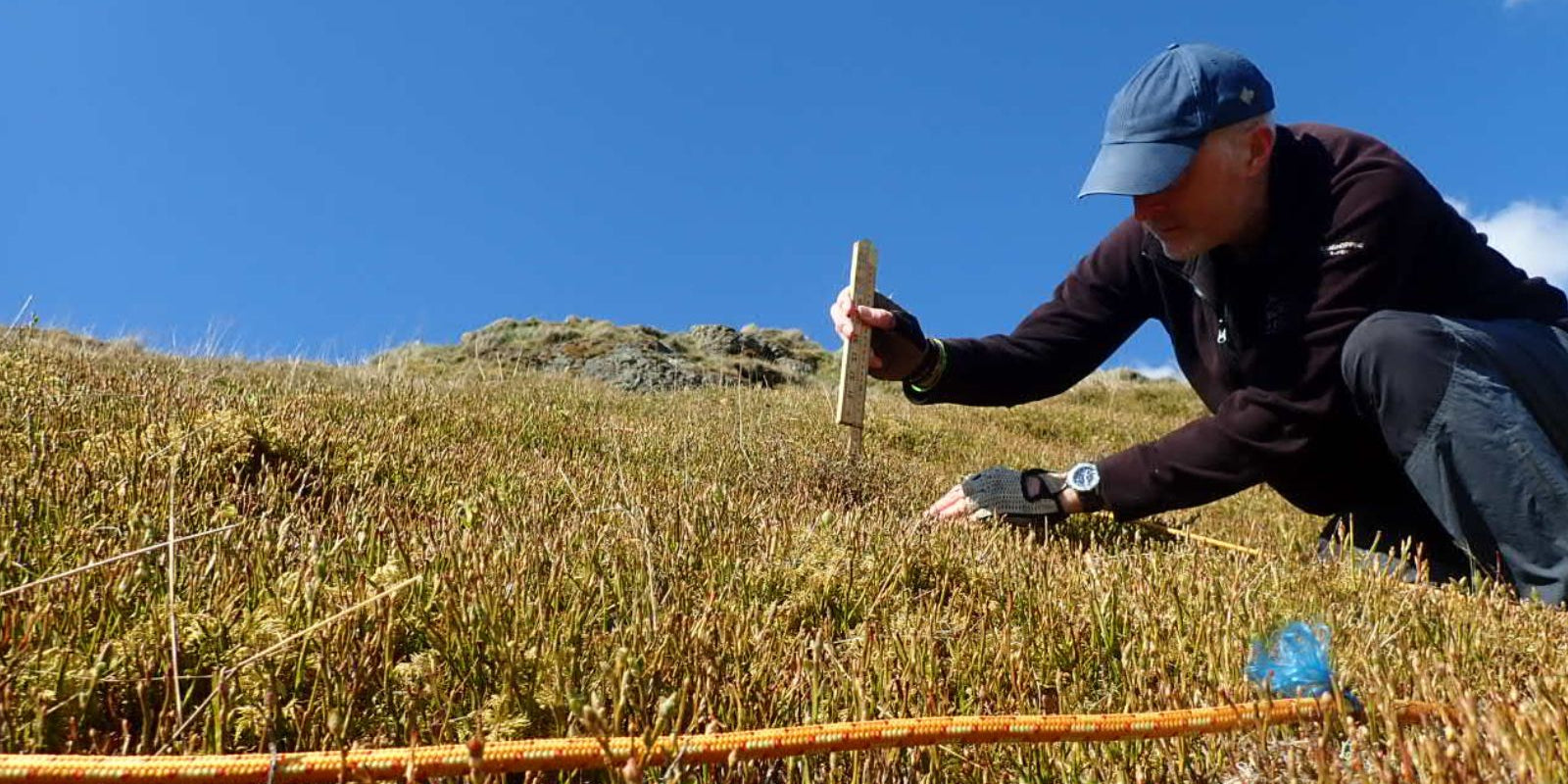 Heathland and Sticky Catchfly Surveys at Dumyat with Lindsay Mackinlay, Head of Ecology