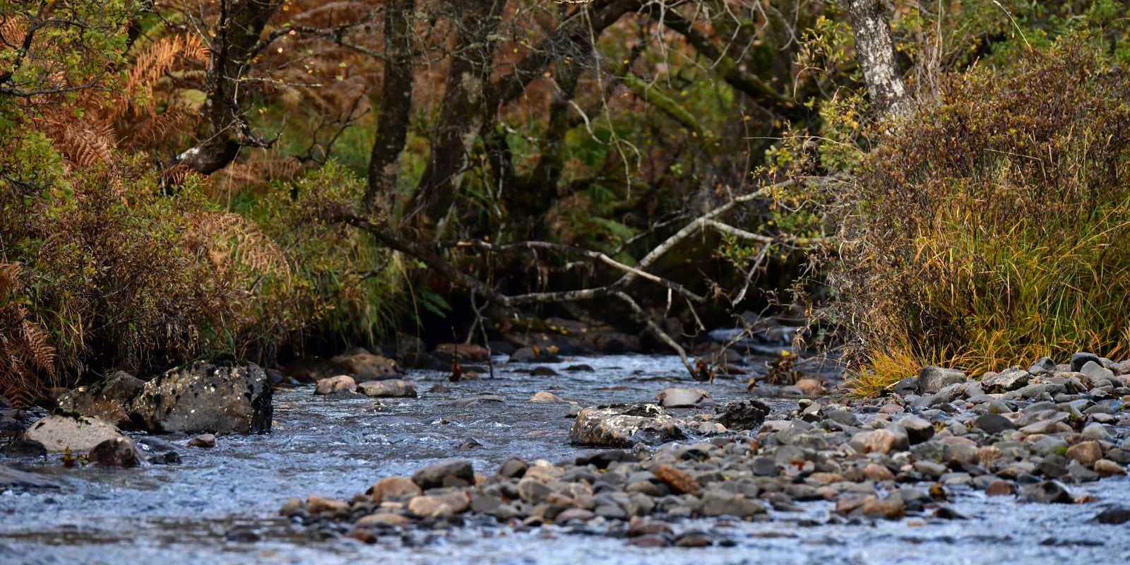 IWD 2025 Accelerate Action Interview with Amina Aboobakar, Director of Strategic Development & Stewardship at The Rivers Trust