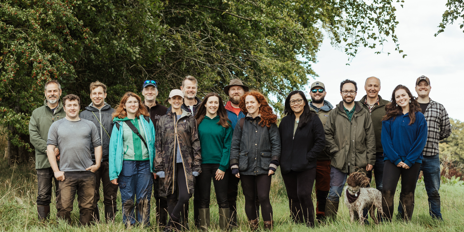 A Year of Impact at The Future Forest Company