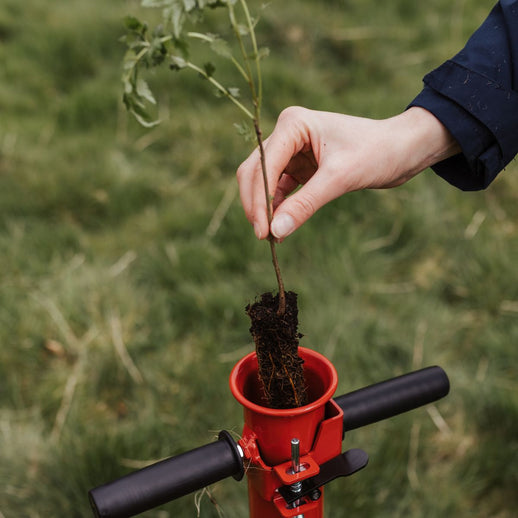 Sponsor 500 Trees