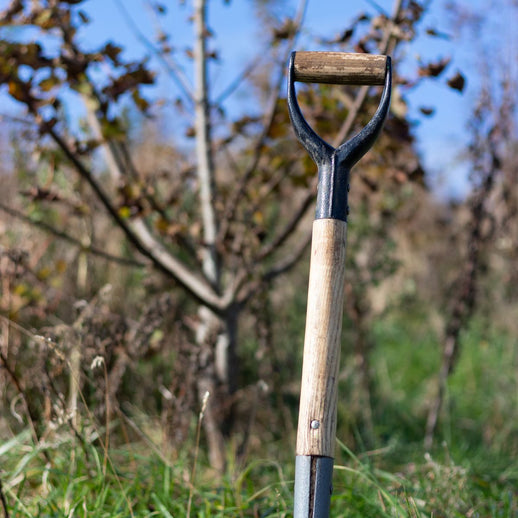 10 Trees - Monthly Subscription