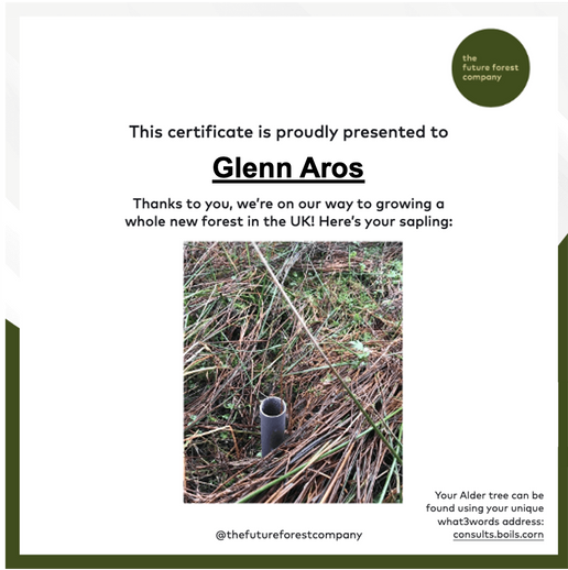 Plant 1,000 Trees in the UK!