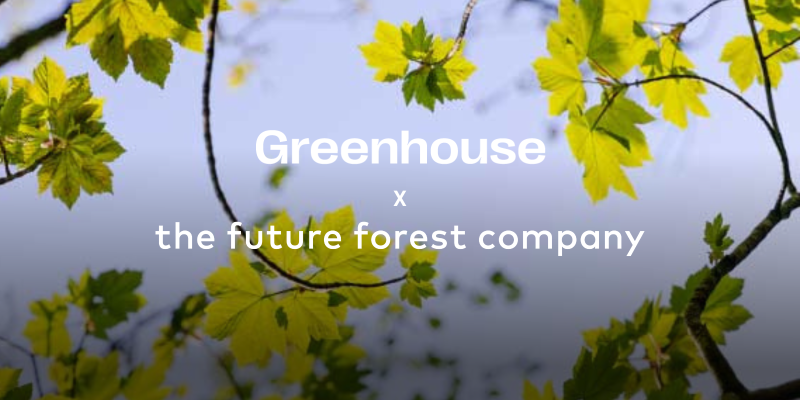Case Study: Greenhouse Communication's Commitment to Nature-Based Carbon Projects