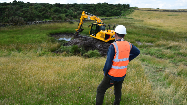 Wetland Restoration in Action: A World Wetlands Day Reflection