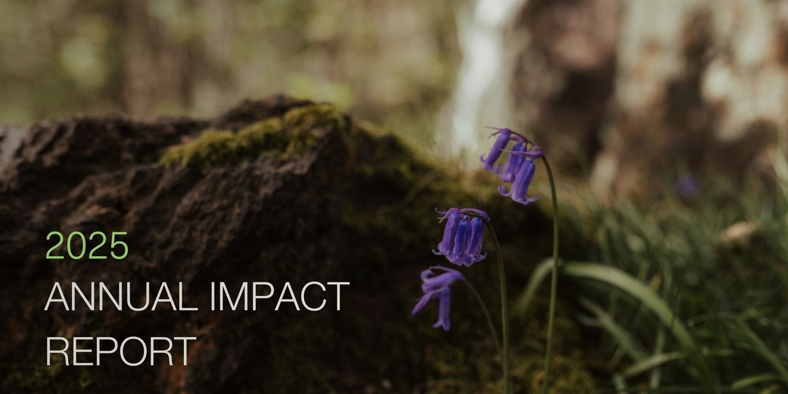 Our 2025 Impact Report