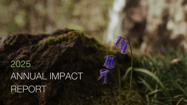 Our 2025 Impact Report