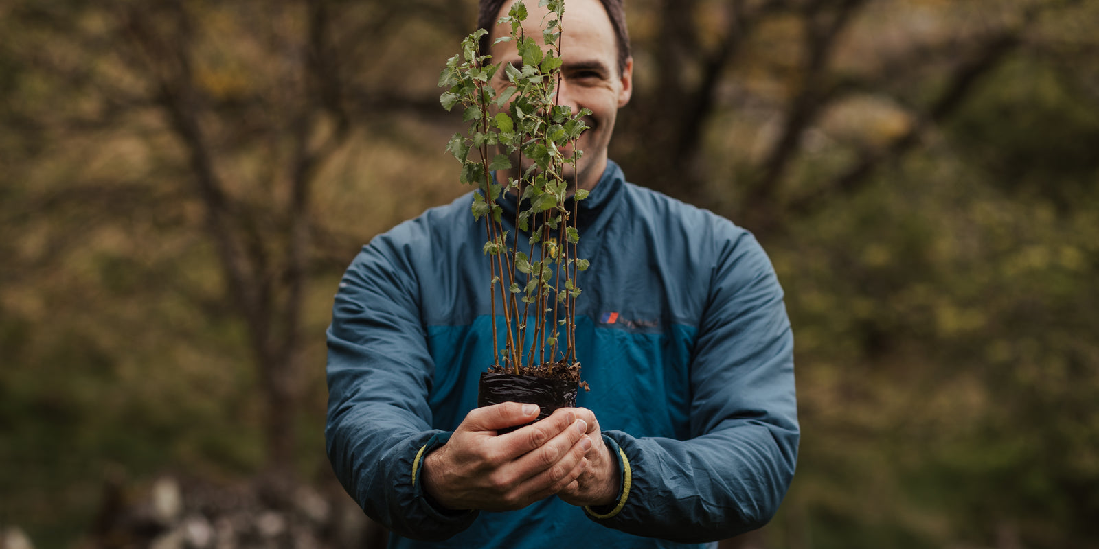 Corporate Tree Planting