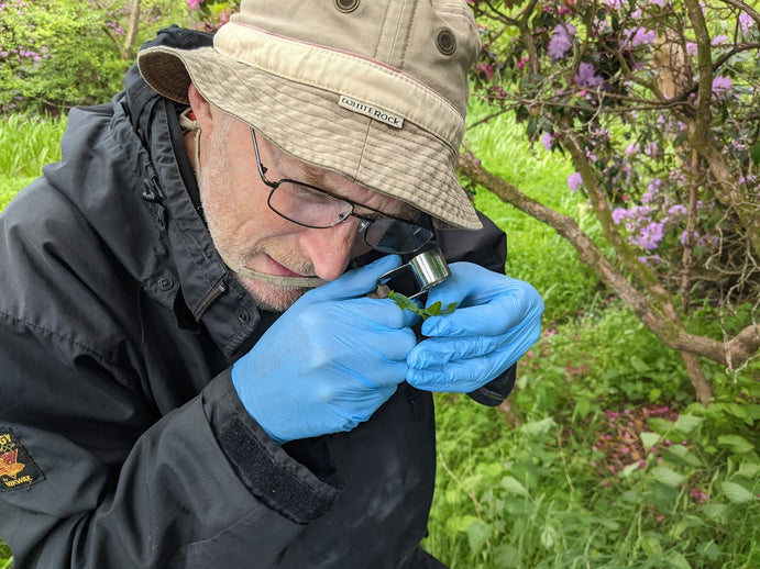 Nature Restoration 